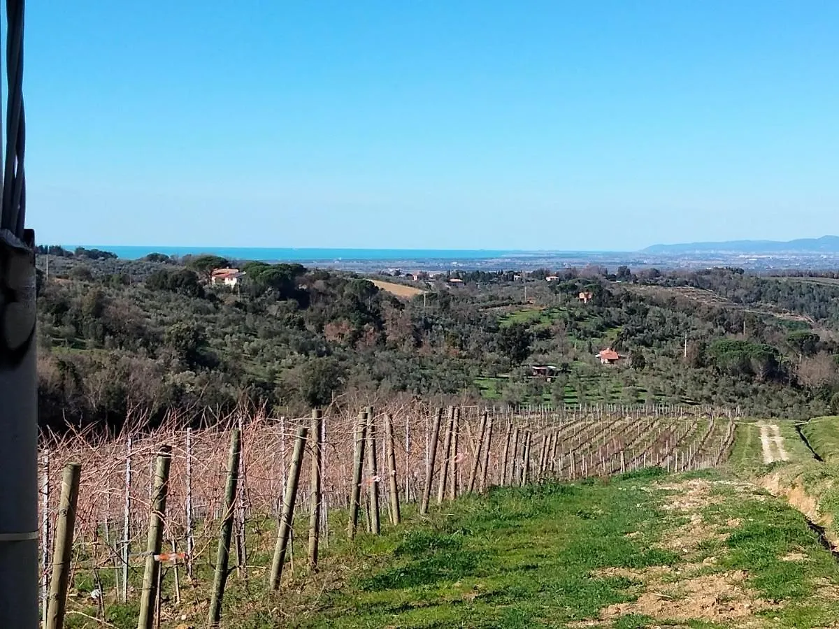 Il Cuoricino Podere Le Bozze Con Piscina, Wi-Fi, Posto Auto Castagneto Carducci 0*,  Italy