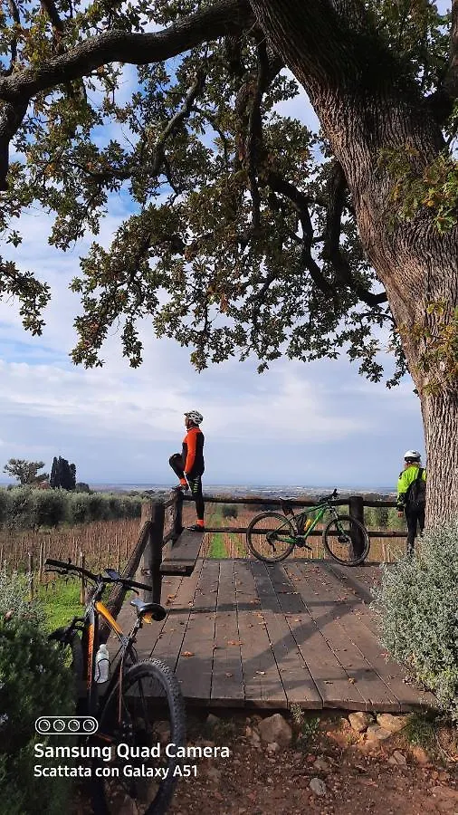 Il Cuoricino Podere Le Bozze Con Piscina, Wi-Fi, Posto Auto Castagneto Carducci 0*,  Italy