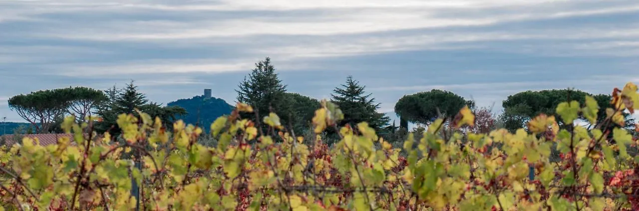 Il Cuoricino Podere Le Bozze Con Piscina, Wi-Fi, Posto Auto Castagneto Carducci Apartment
